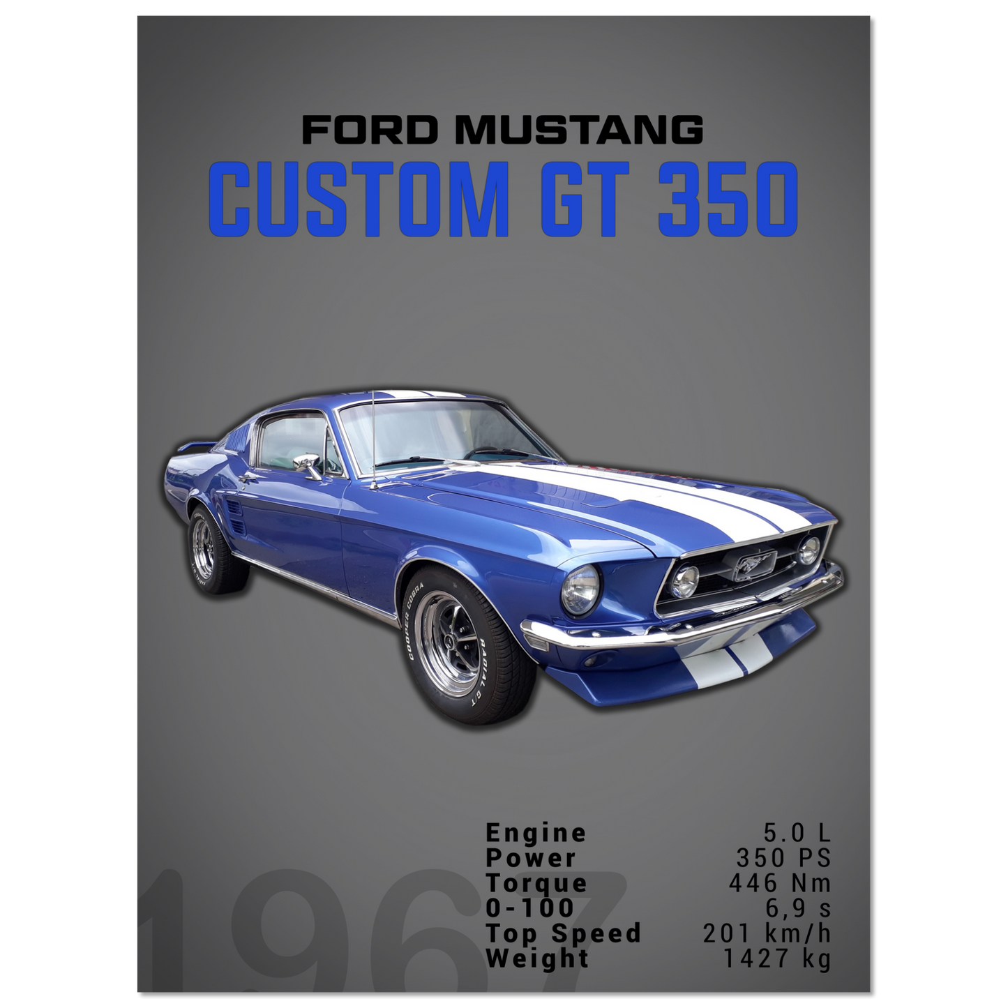Ford Mustang 1967 Custom GT350 (MUSTANG02D)
