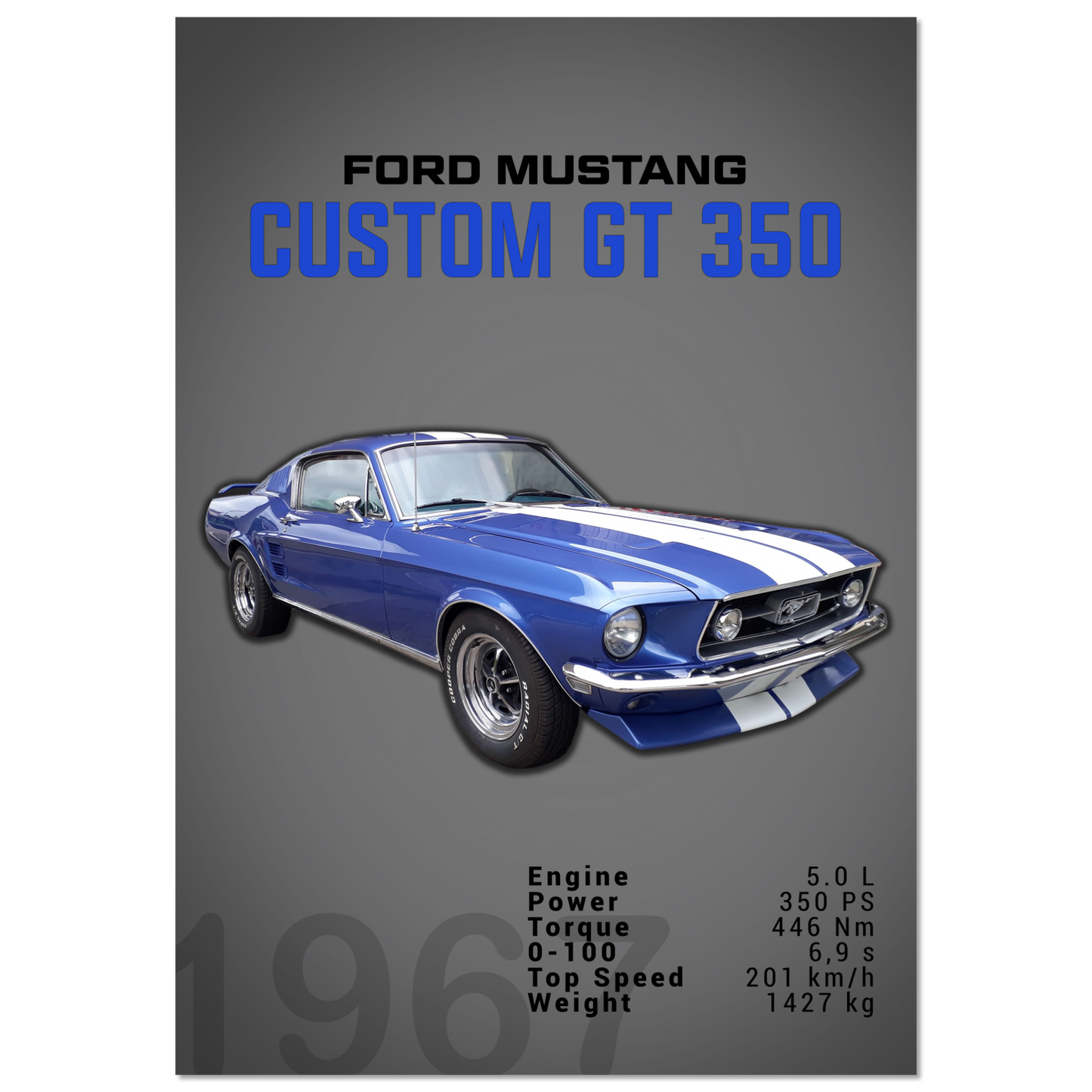 Ford Mustang 1967 Custom GT350 (MUSTANG02D)