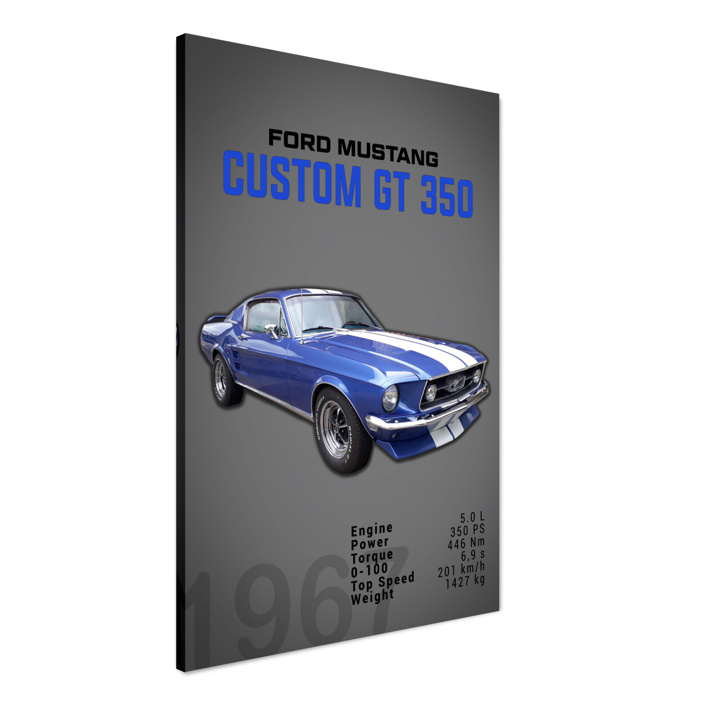 Ford Mustang 1967 Custom GT350 (MUSTANG02D)