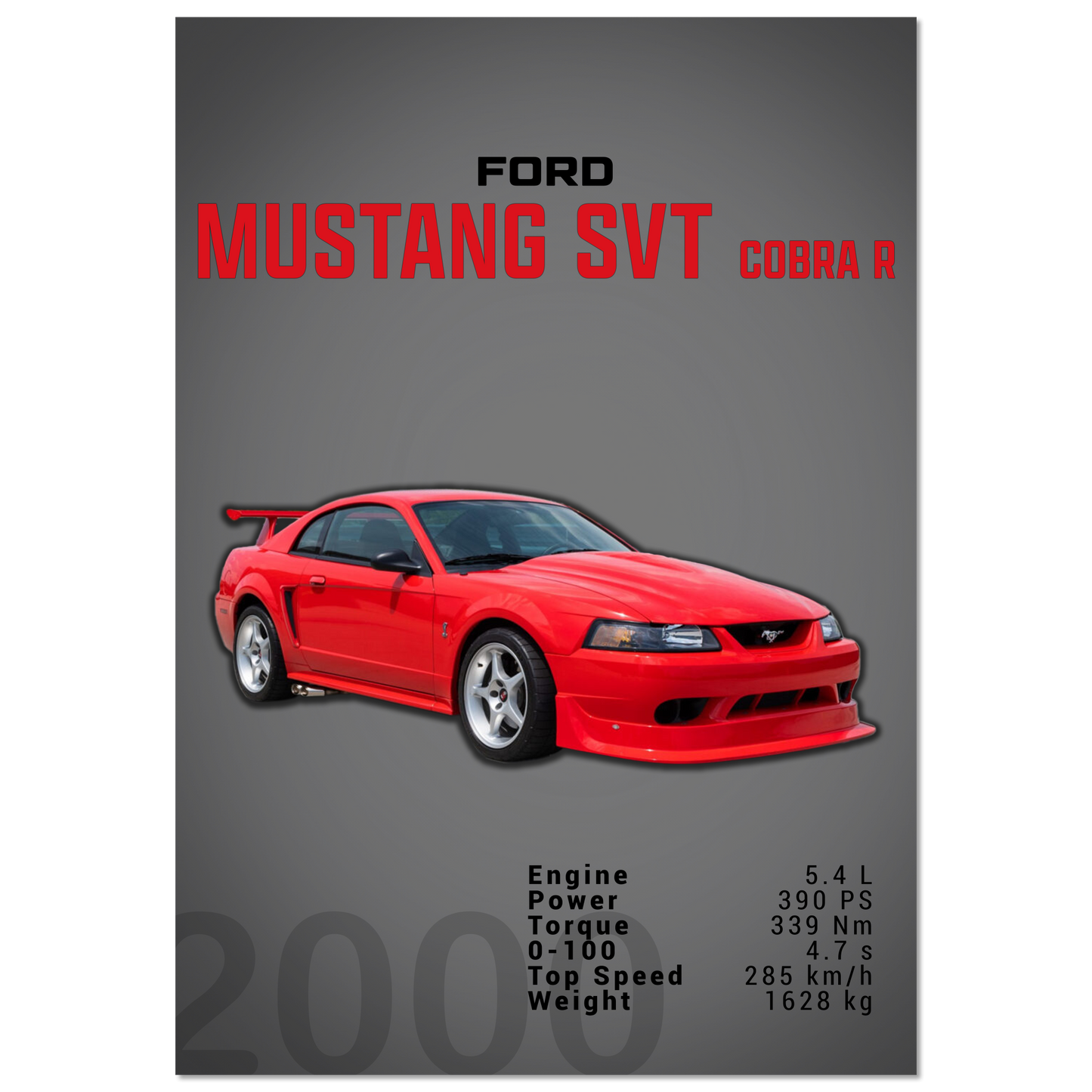 Ford Mustang 2000 SVT Cobra R (MUSTANG19D)