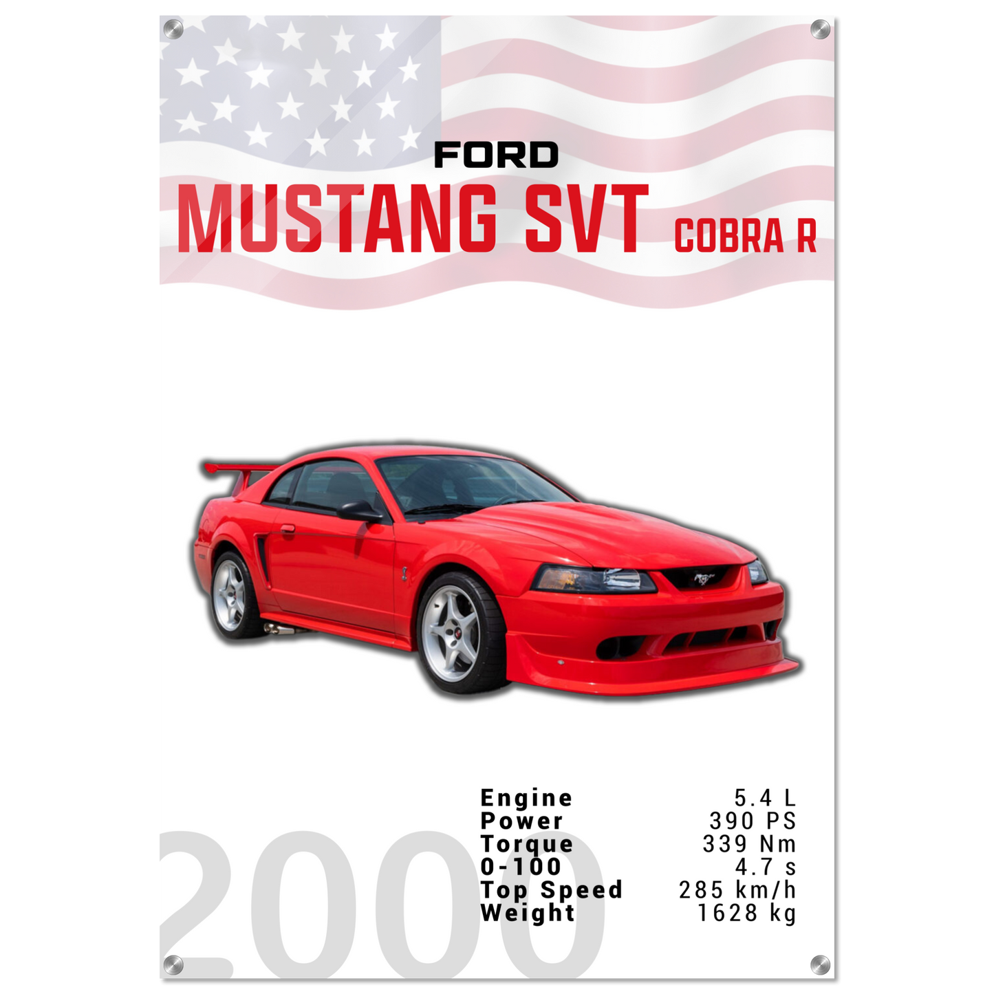 Ford Mustang 2000 SVT Cobra R (MUSTANG19)