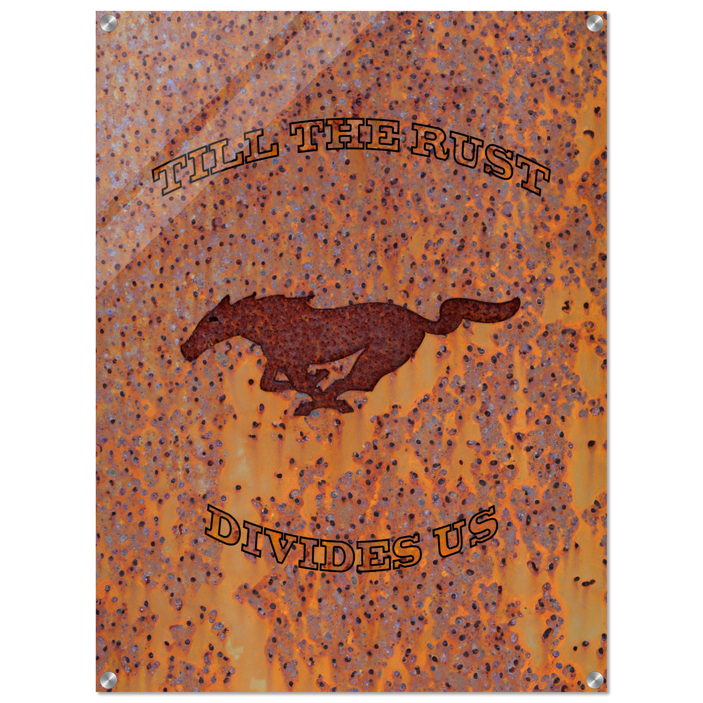 Till the rust divides us - Bis das der Rost uns scheidet (MUSTANG22)