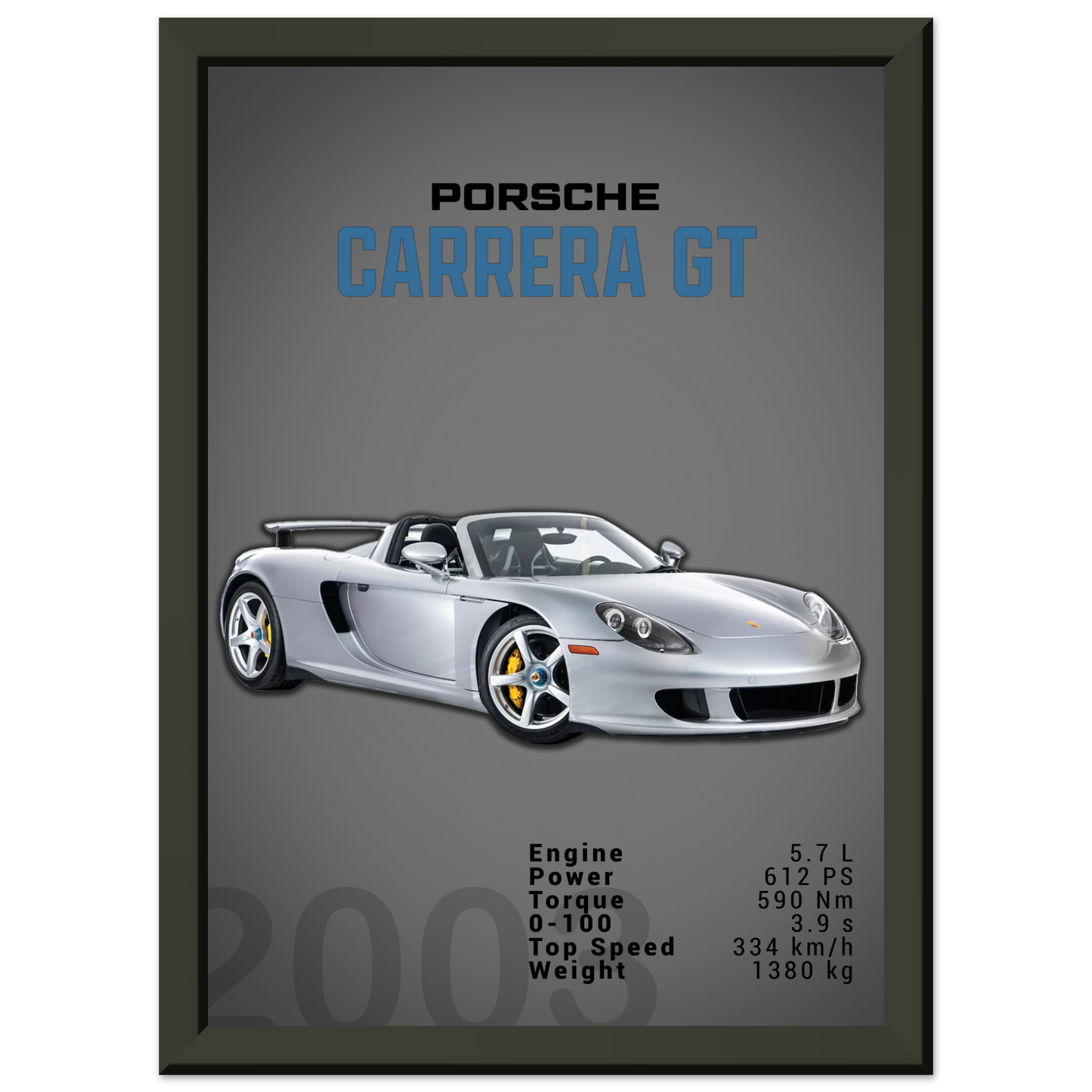 Porsche Carrera GT (PORSCHE04D)