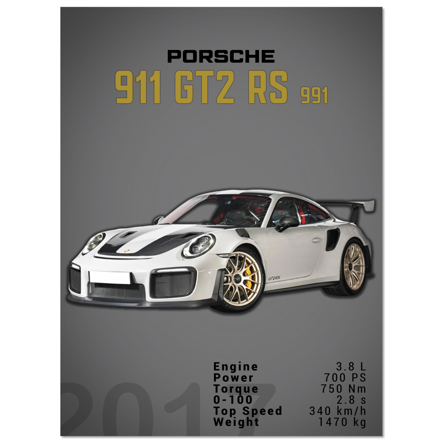 Porsche 991 (991) GT2 RS (PORSCHE06D)