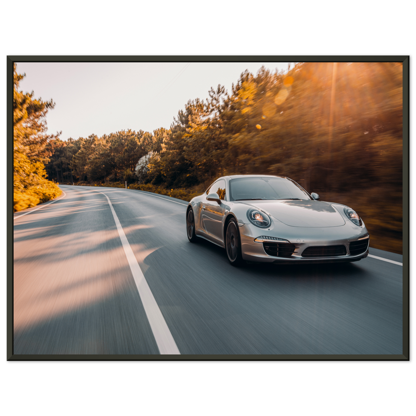 Porsche 911 (991) Road (PORSCHE11)