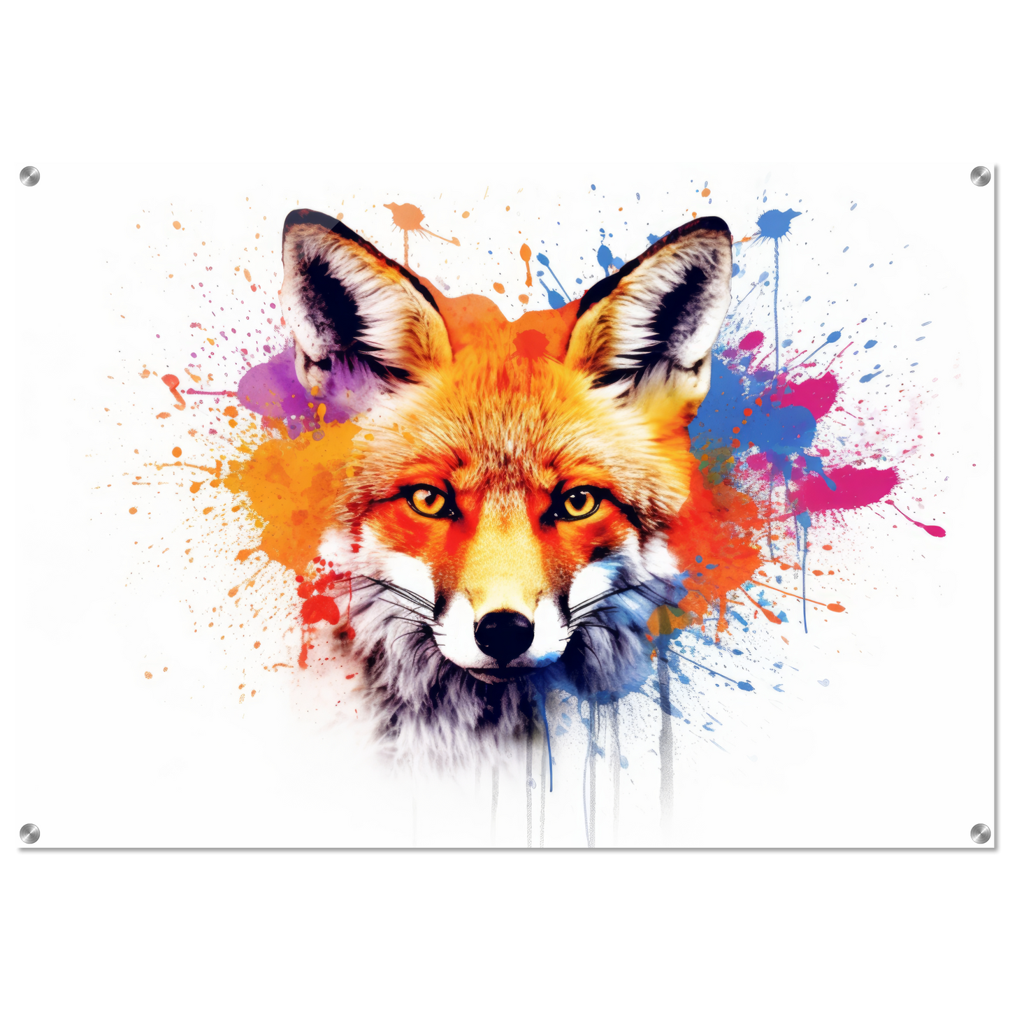 Fox pop art (WILD139)