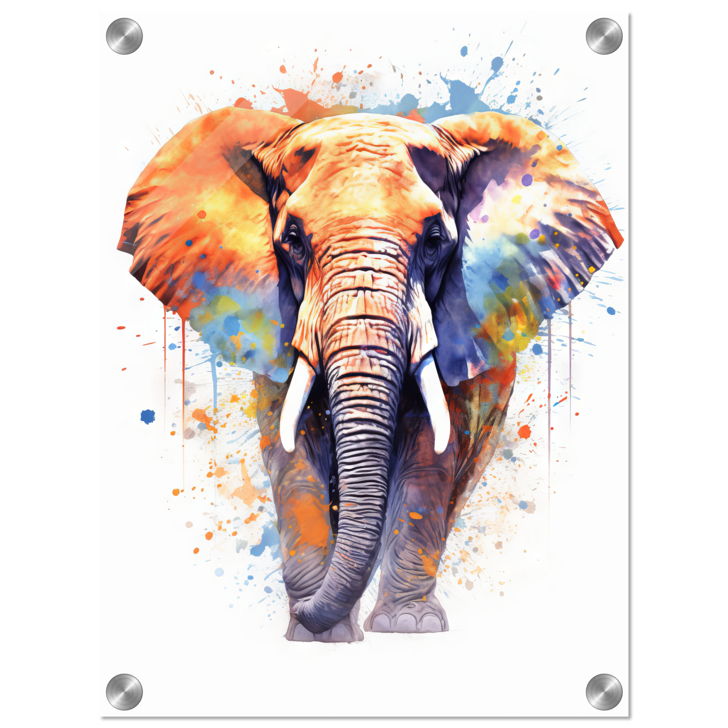 Elephant pop art (WILD21)