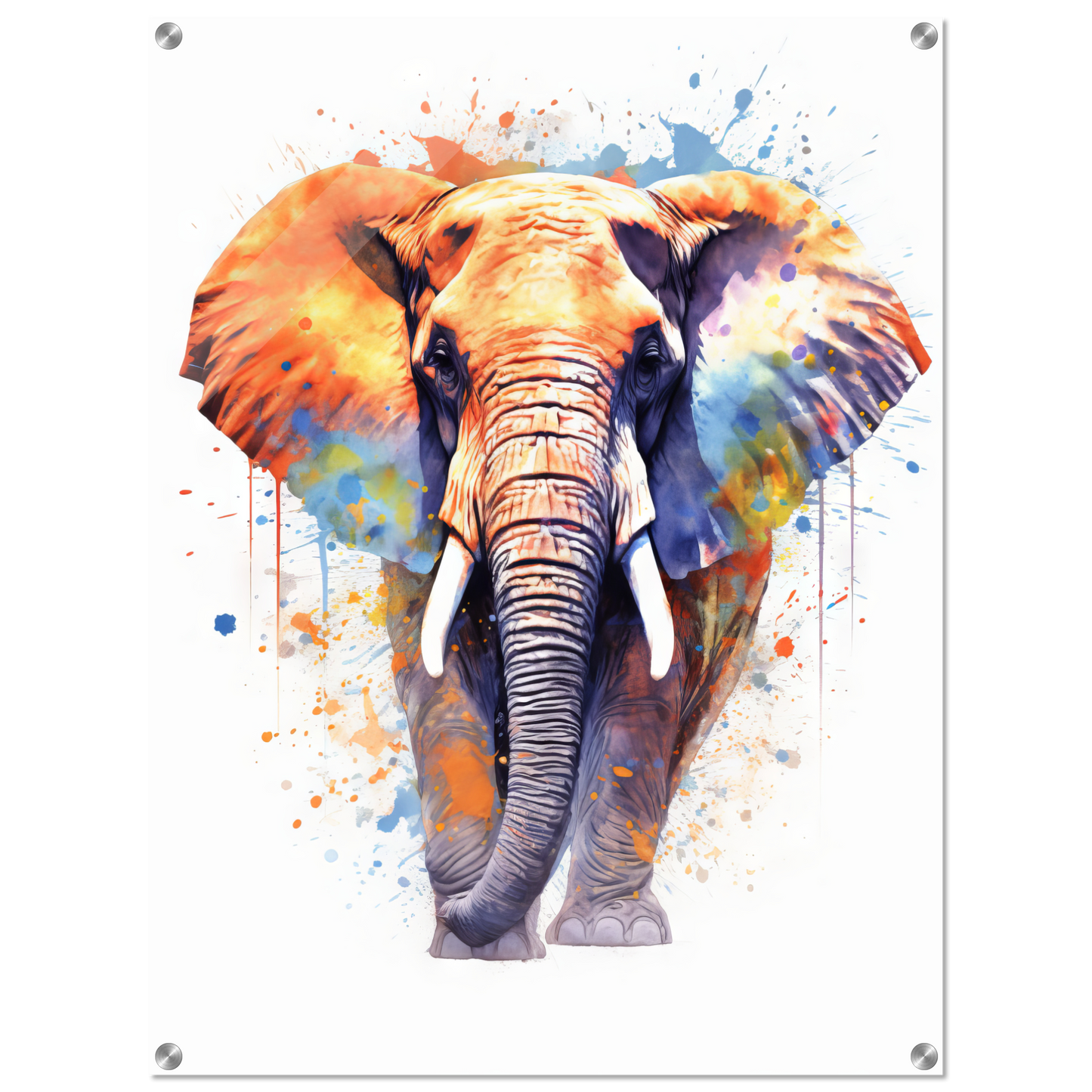 Elephant pop art (WILD21)