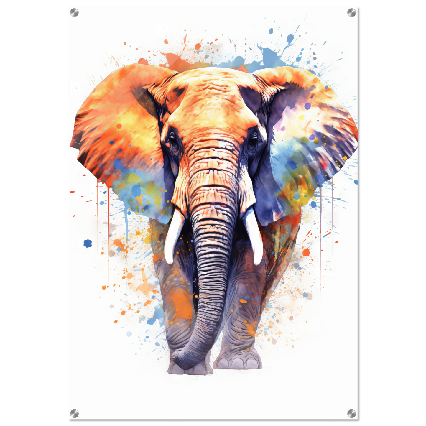 Elephant pop art (WILD21)