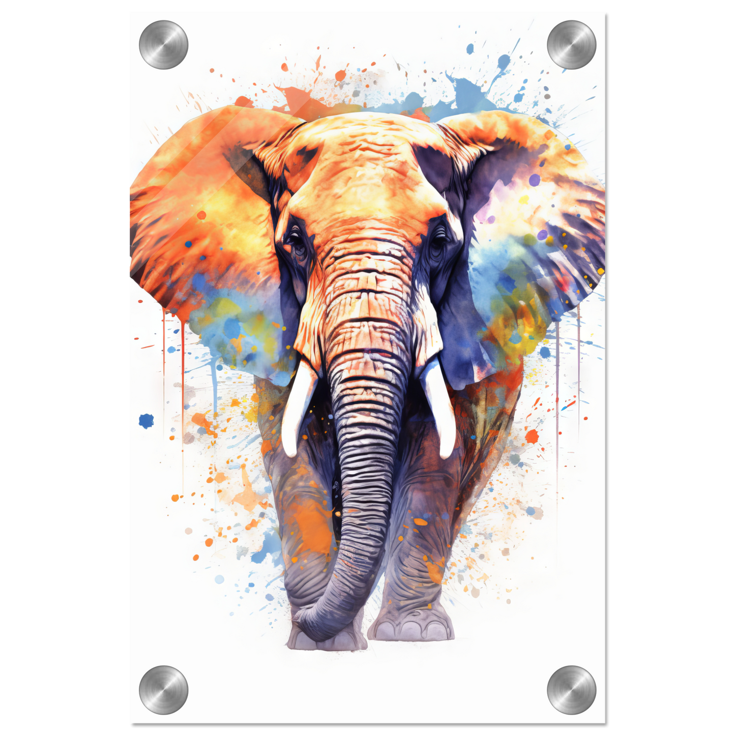 Elephant pop art (WILD21)