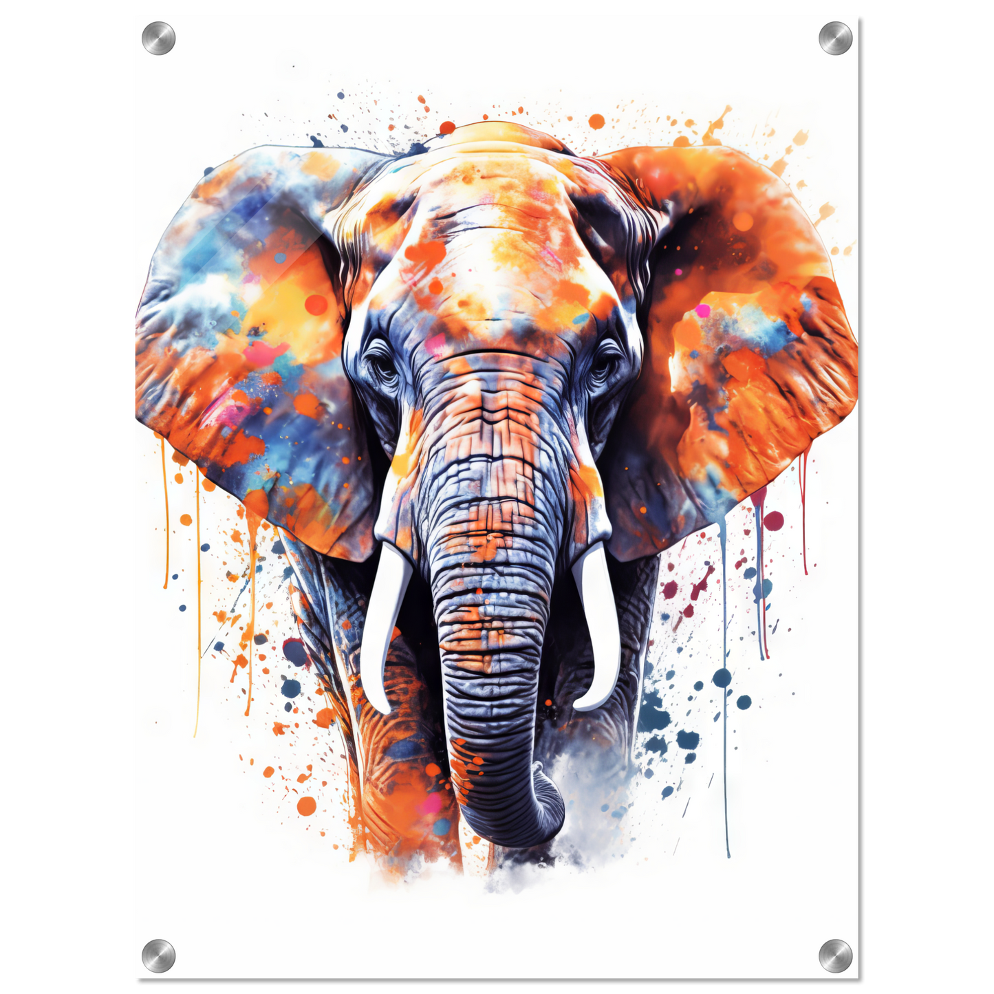 Elephant pop art (WILD22)