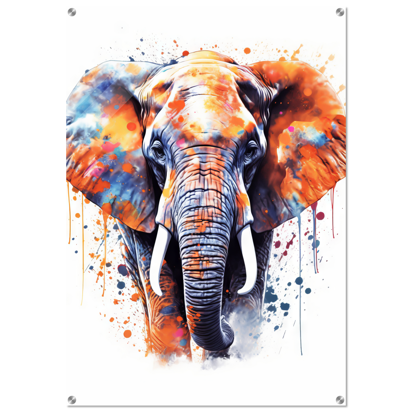 Elephant pop art (WILD22)