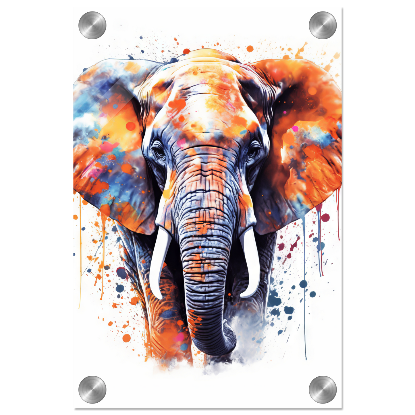 Elephant pop art (WILD22)