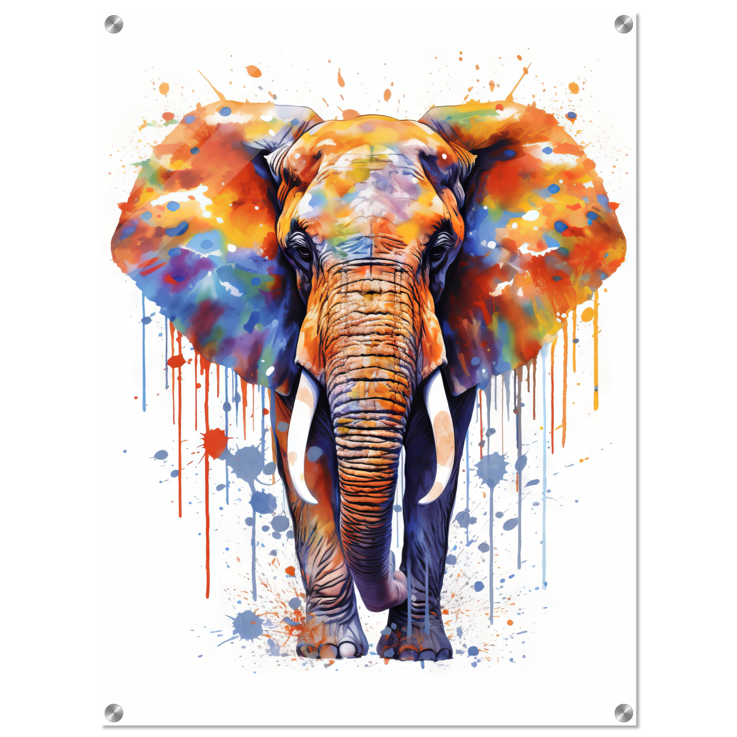 Elephant pop art (WILD23)