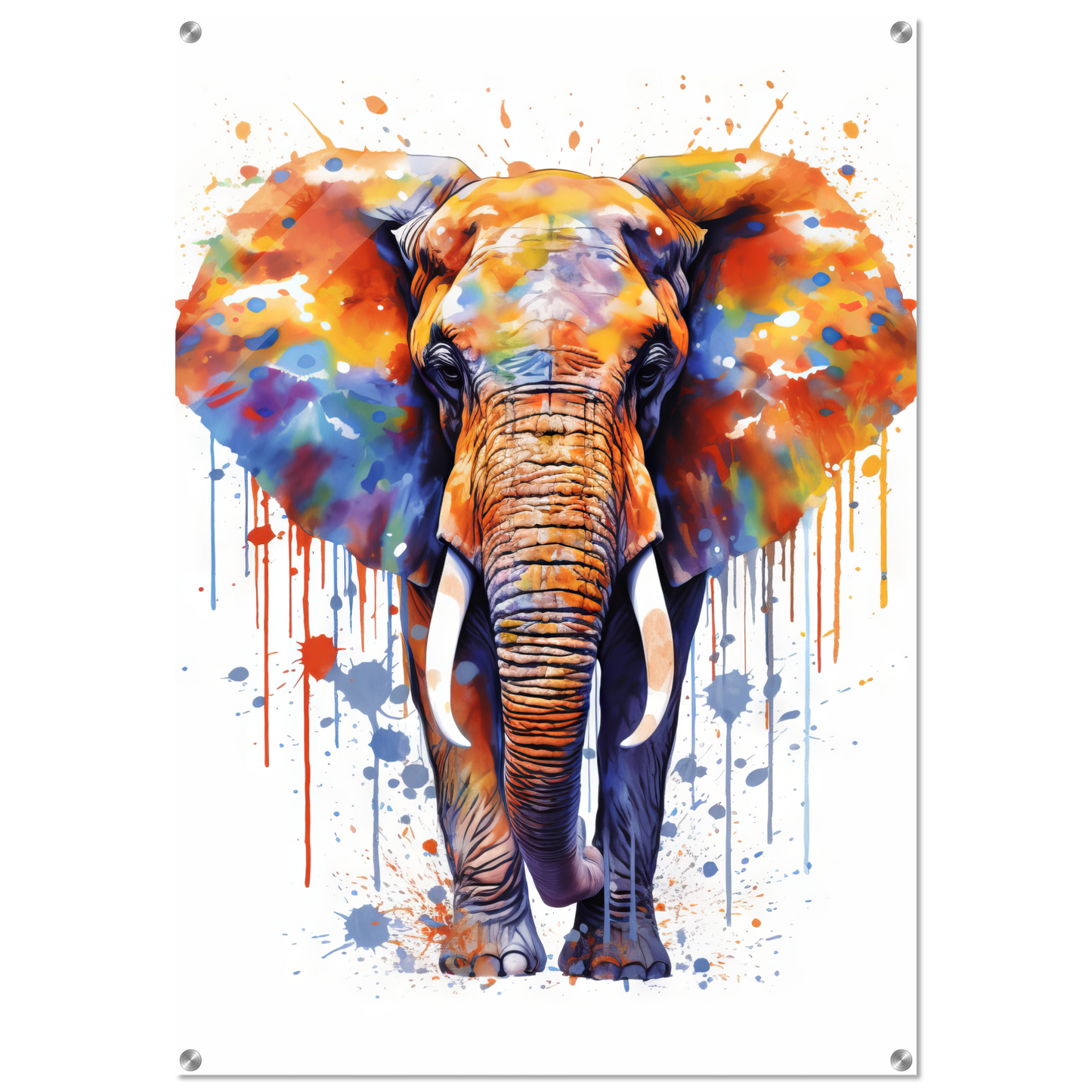 Elephant pop art (WILD23)