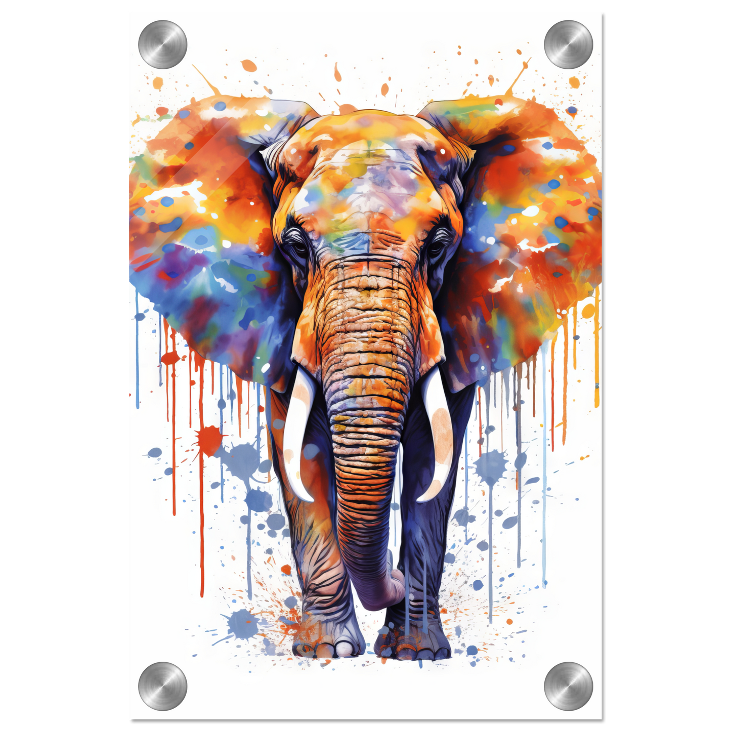 Elefant Pop-Art (WILD23)