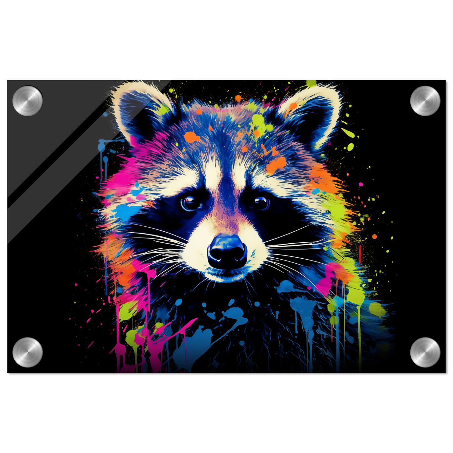 Raccoon raccoons pop art (WILD49)