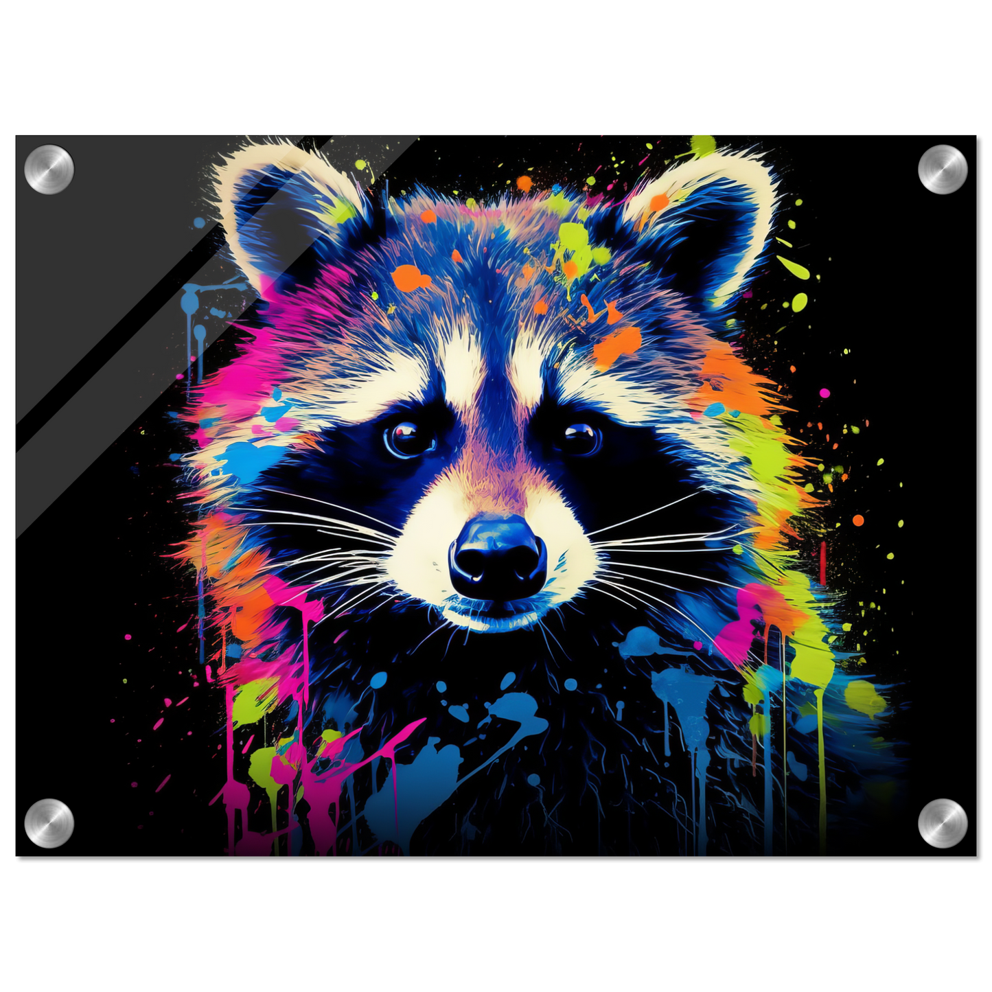 Raccoon raccoons pop art (WILD49)