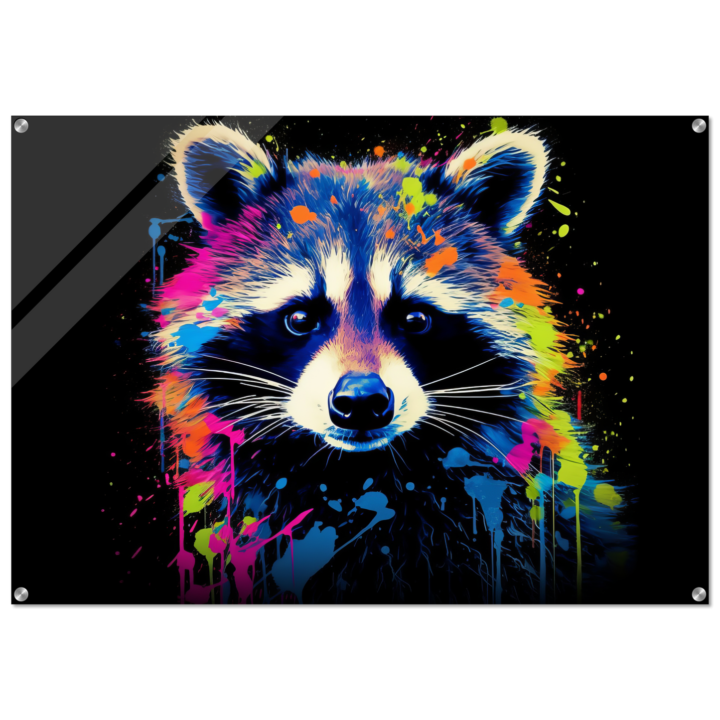 Raccoon raccoons pop art (WILD49)