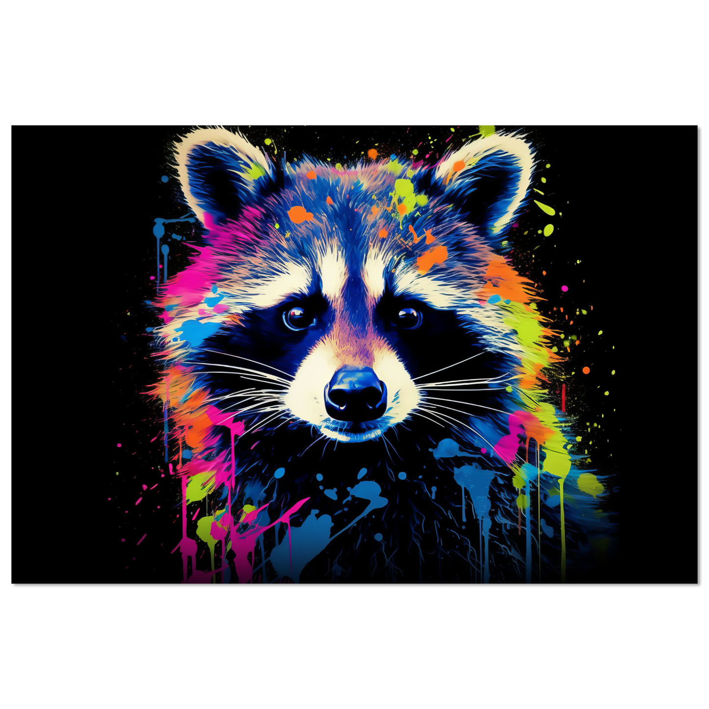 Raccoon raccoons pop art (WILD49)
