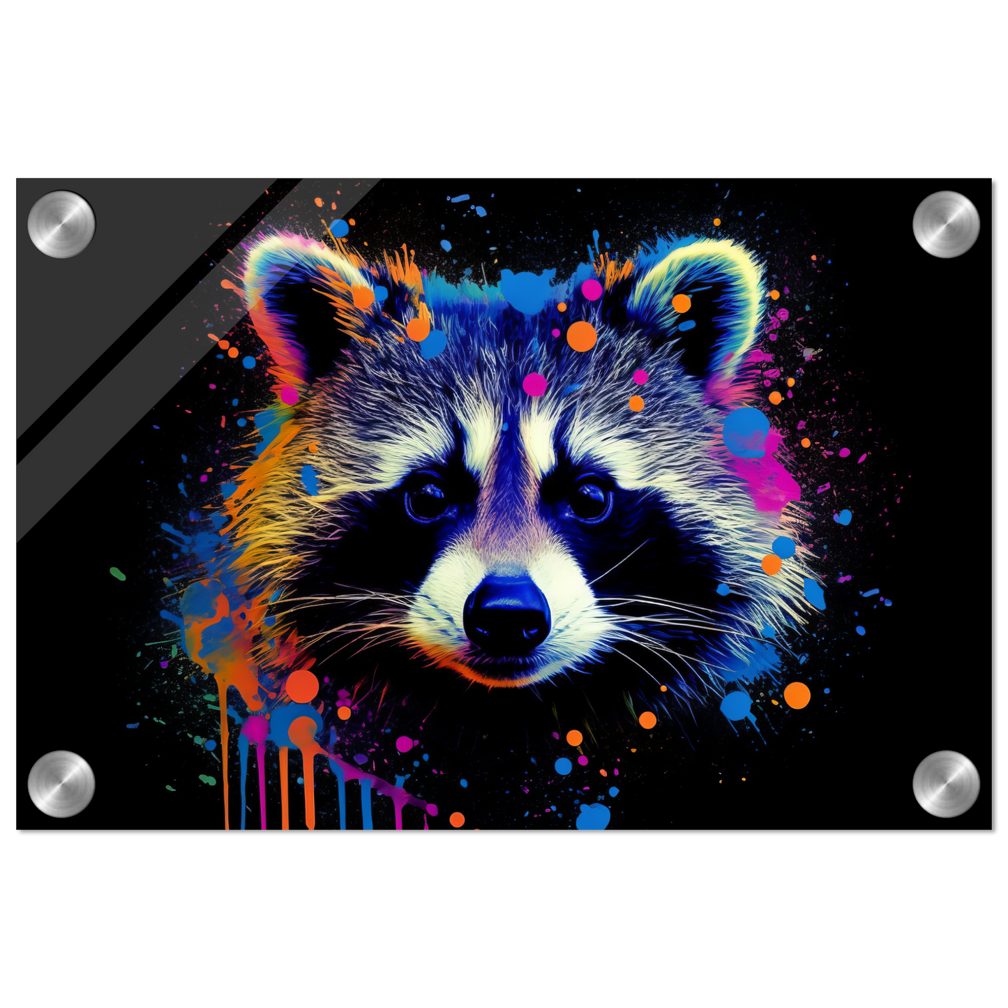 Waschbär Waschbären Pop-Art (WILD50)