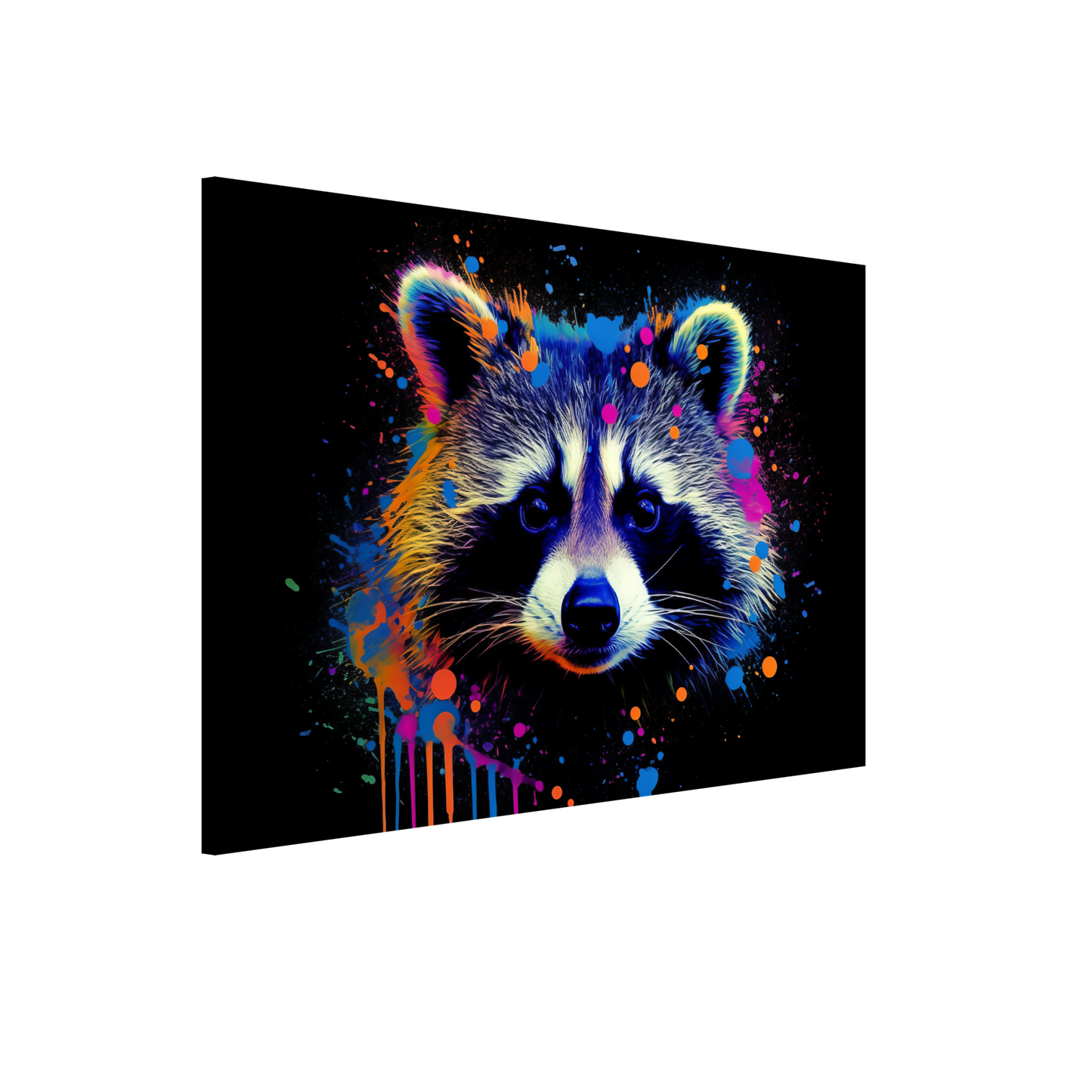 Waschbär Waschbären Pop-Art (WILD50)