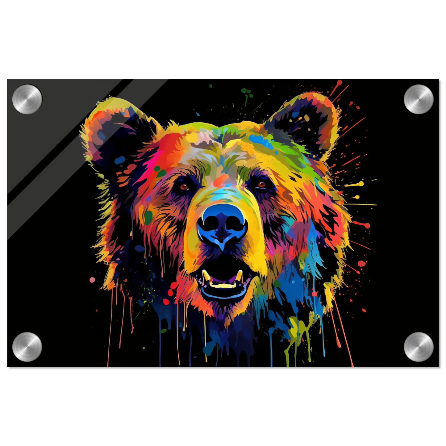 Bear bears pop art (WILD57)