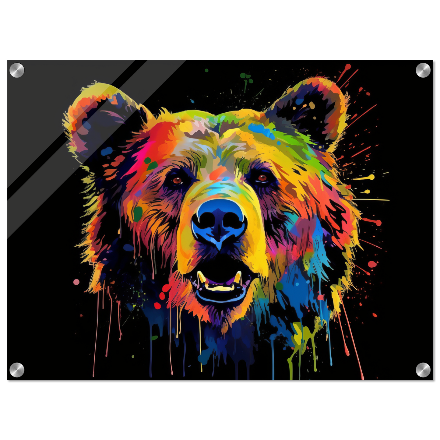 Bear bears pop art (WILD57)