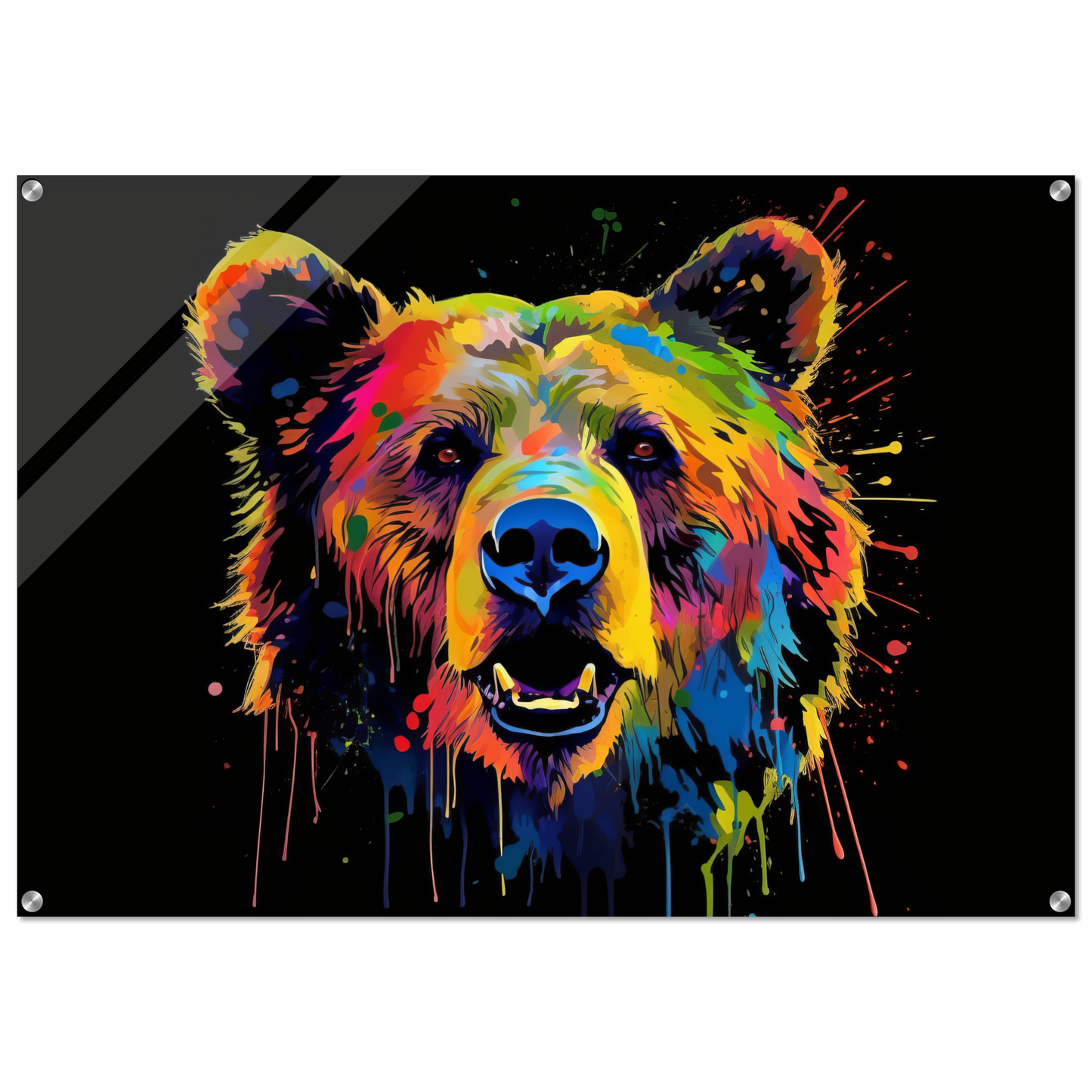 Bear bears pop art (WILD57)