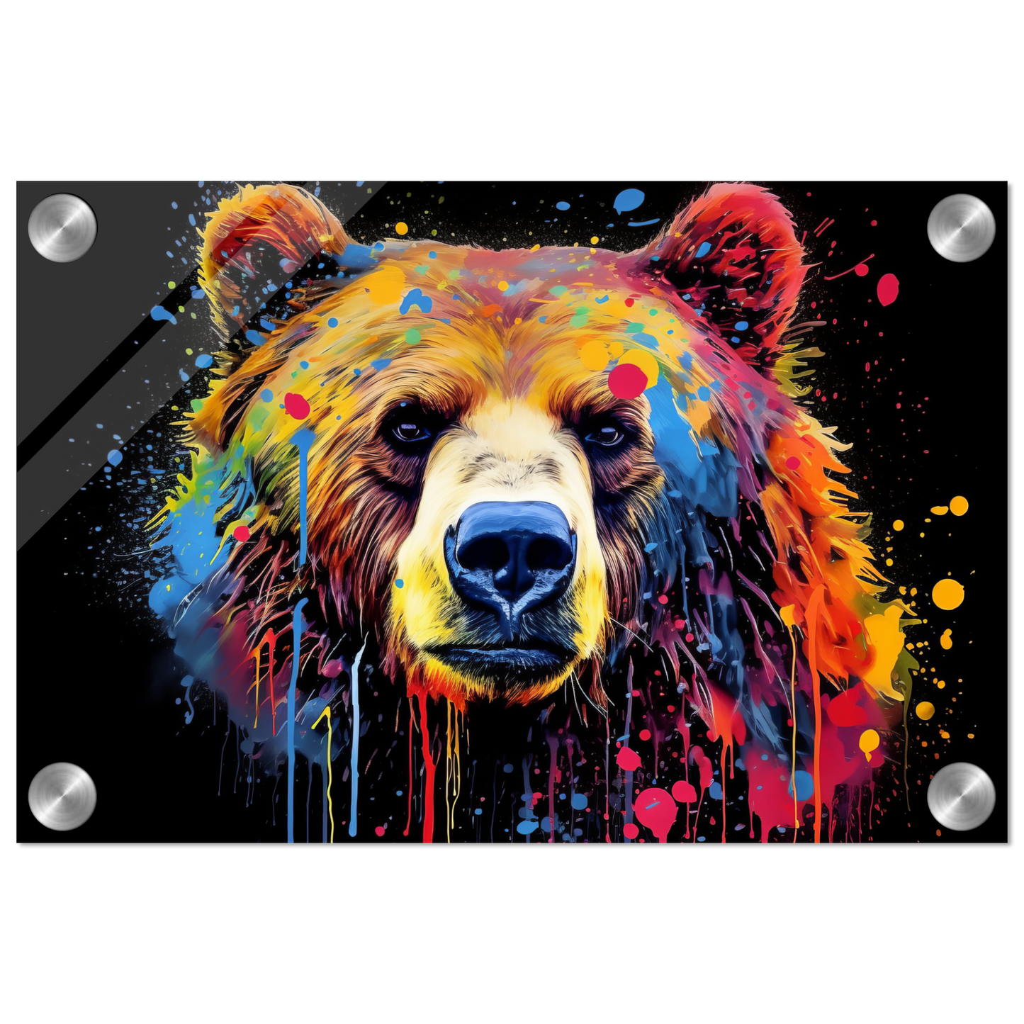 Bear bears pop art (WILD58)