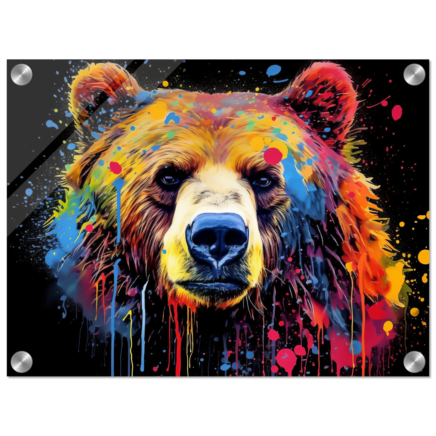 Bear bears pop art (WILD58)