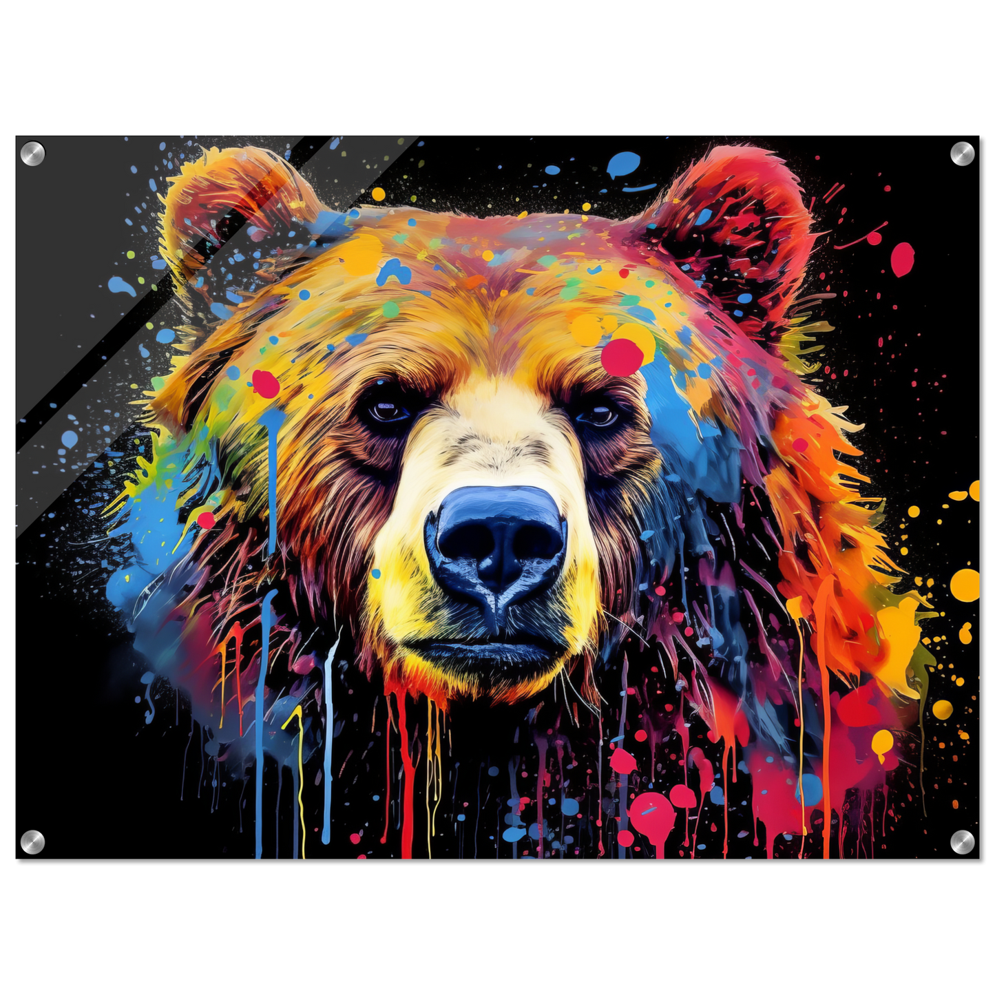 Bear bears pop art (WILD58)