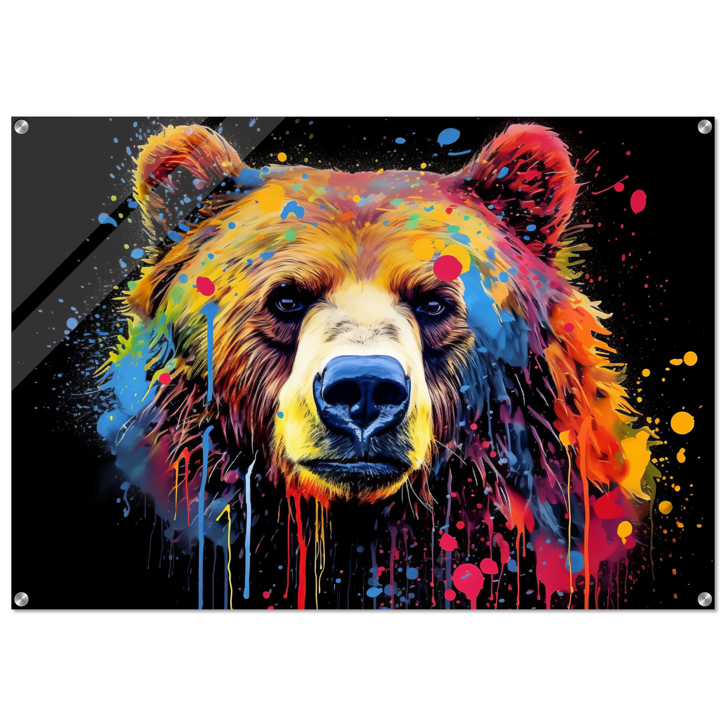 Bear bears pop art (WILD58)