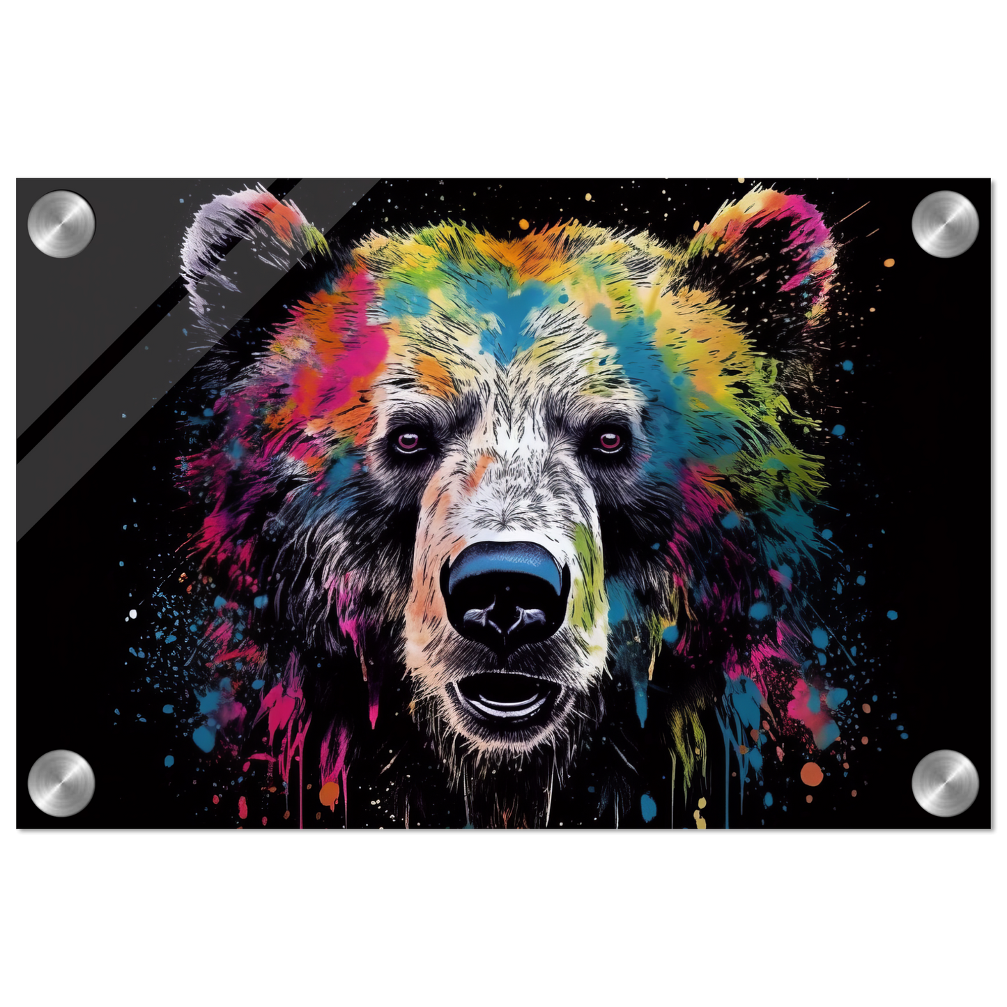 Bear bears pop art (WILD60)