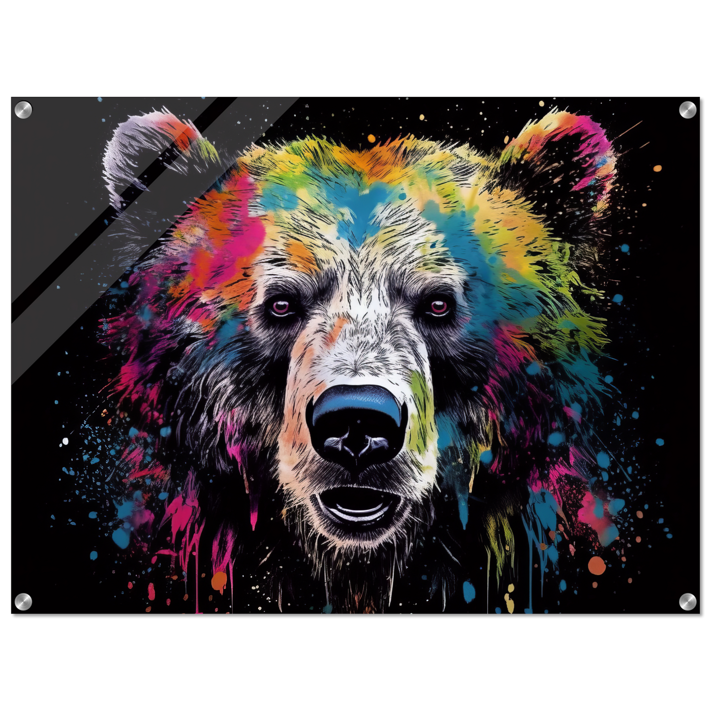 Bear bears pop art (WILD60)