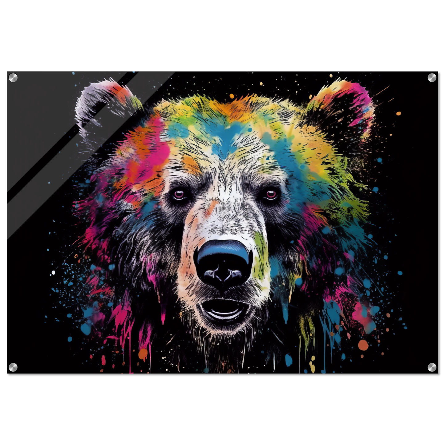 Bear bears pop art (WILD60)