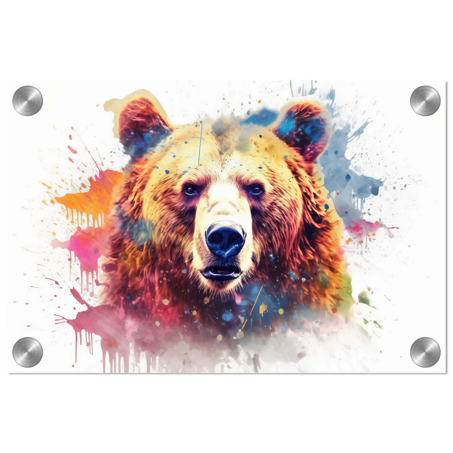 Bear bears pop art (WILD61)