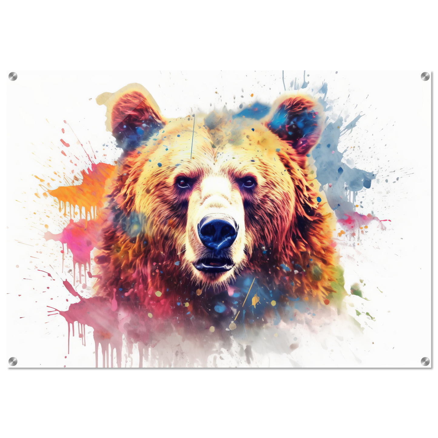 Bear bears pop art (WILD61)
