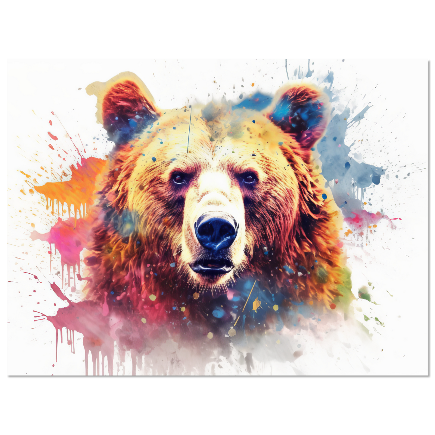 Bear bears pop art (WILD61)