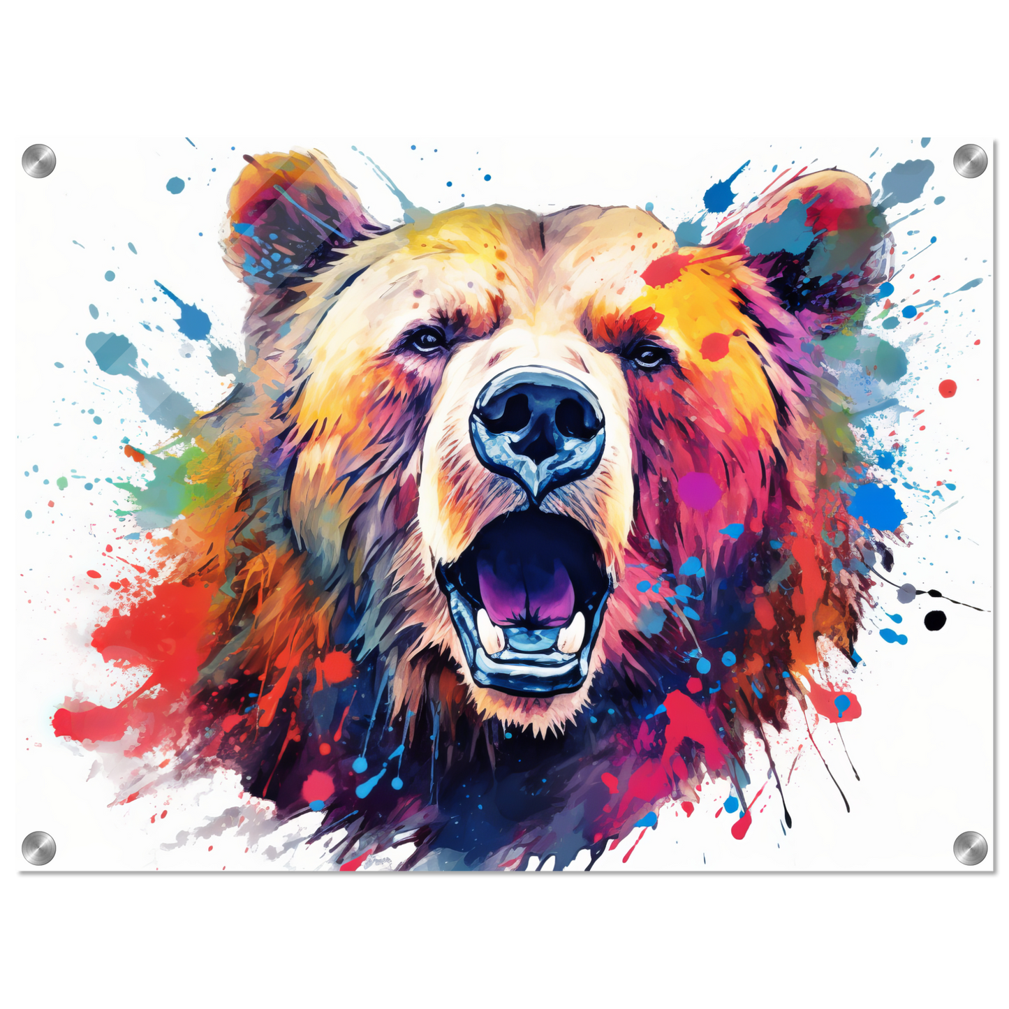Bear bears pop art (WILD62)