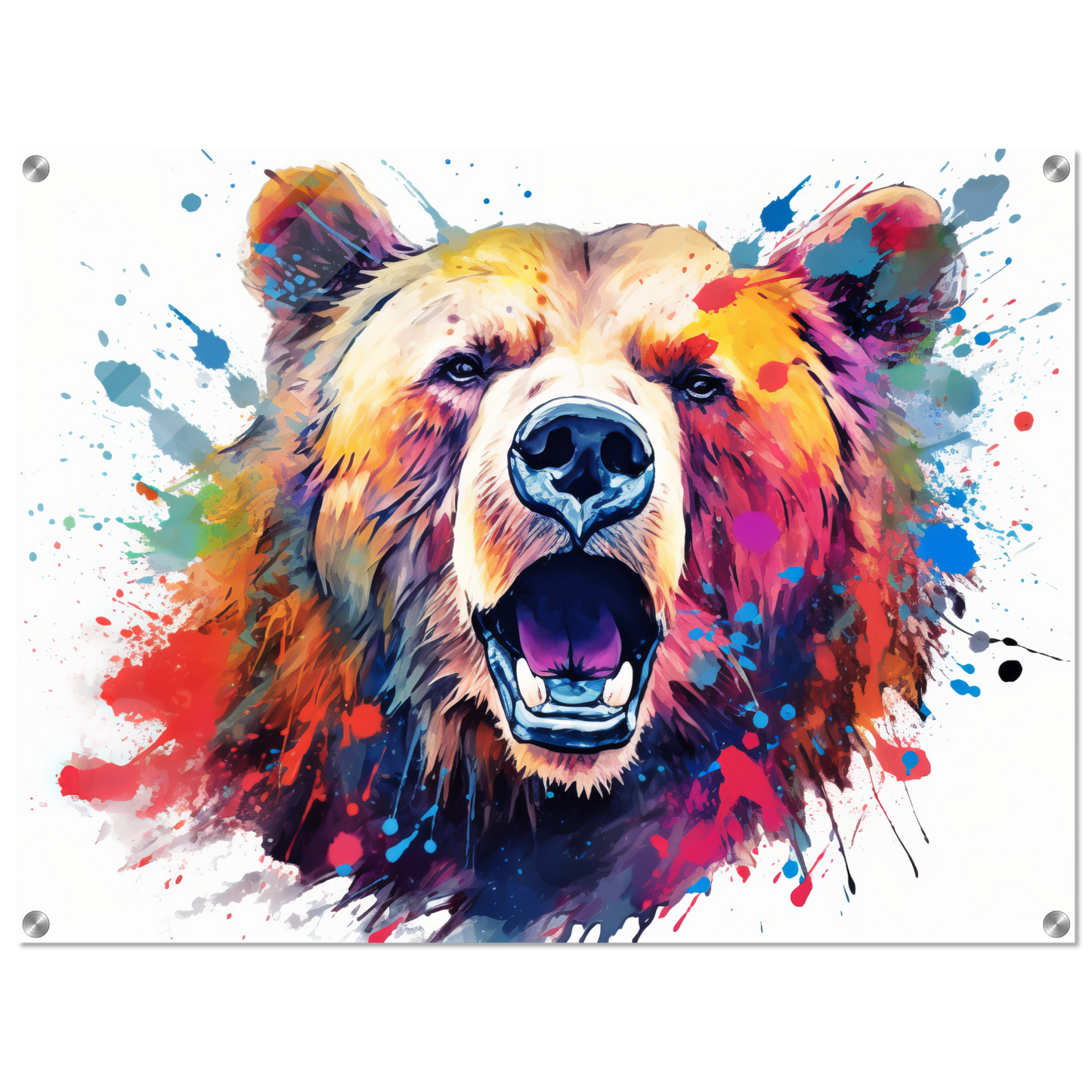 Bear bears pop art (WILD62)