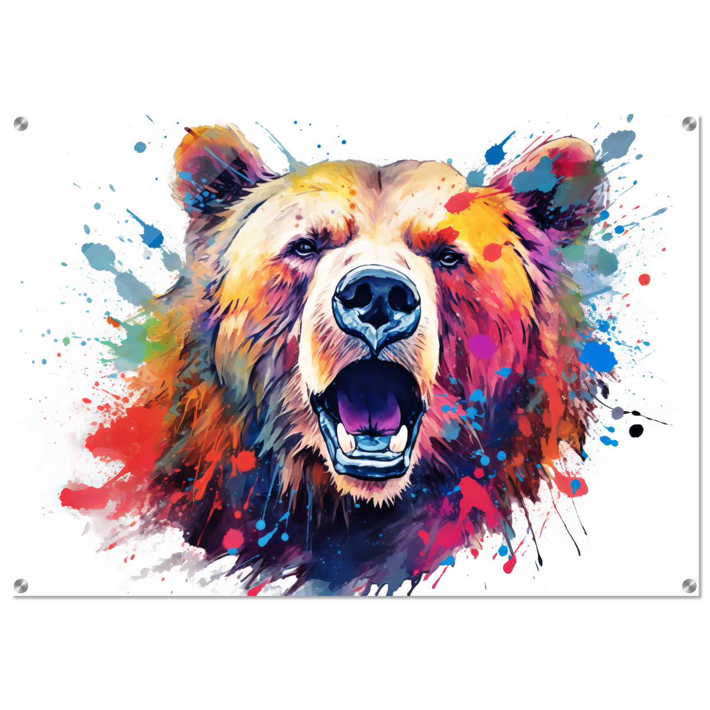 Bear bears pop art (WILD62)