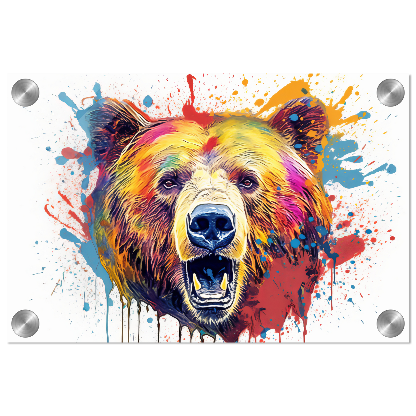 Bear bears pop art (WILD63)