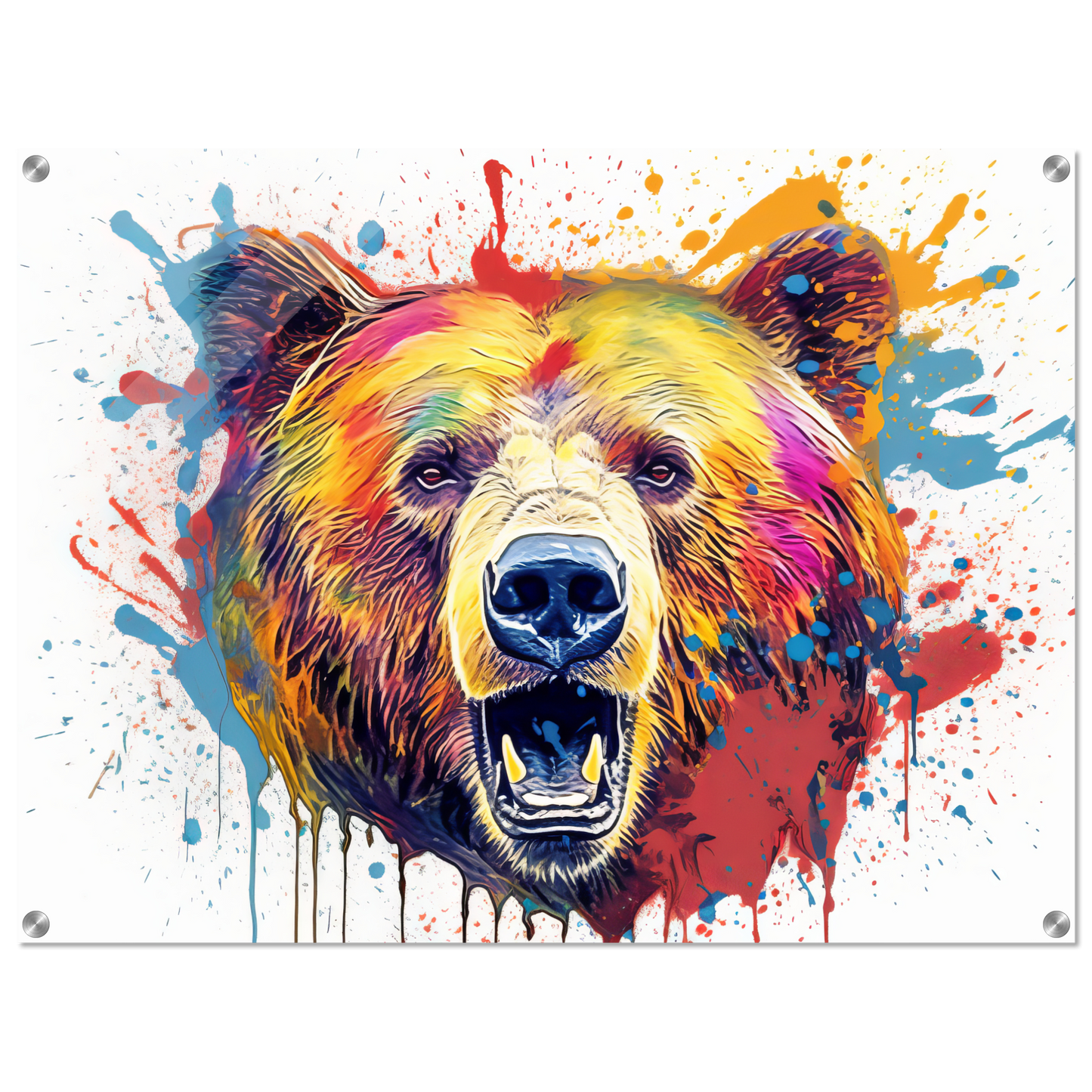 Bear bears pop art (WILD63)