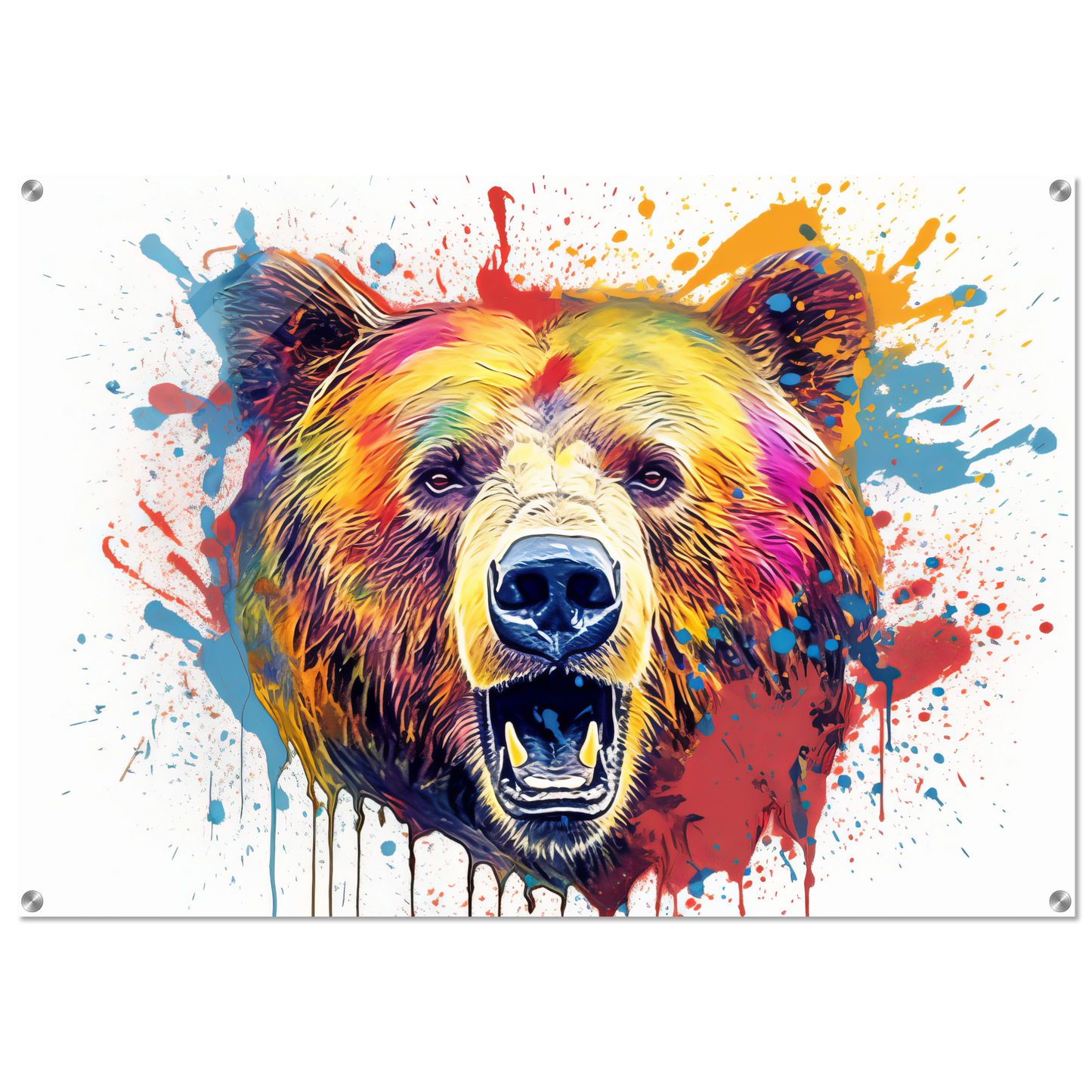 Bear bears pop art (WILD63)