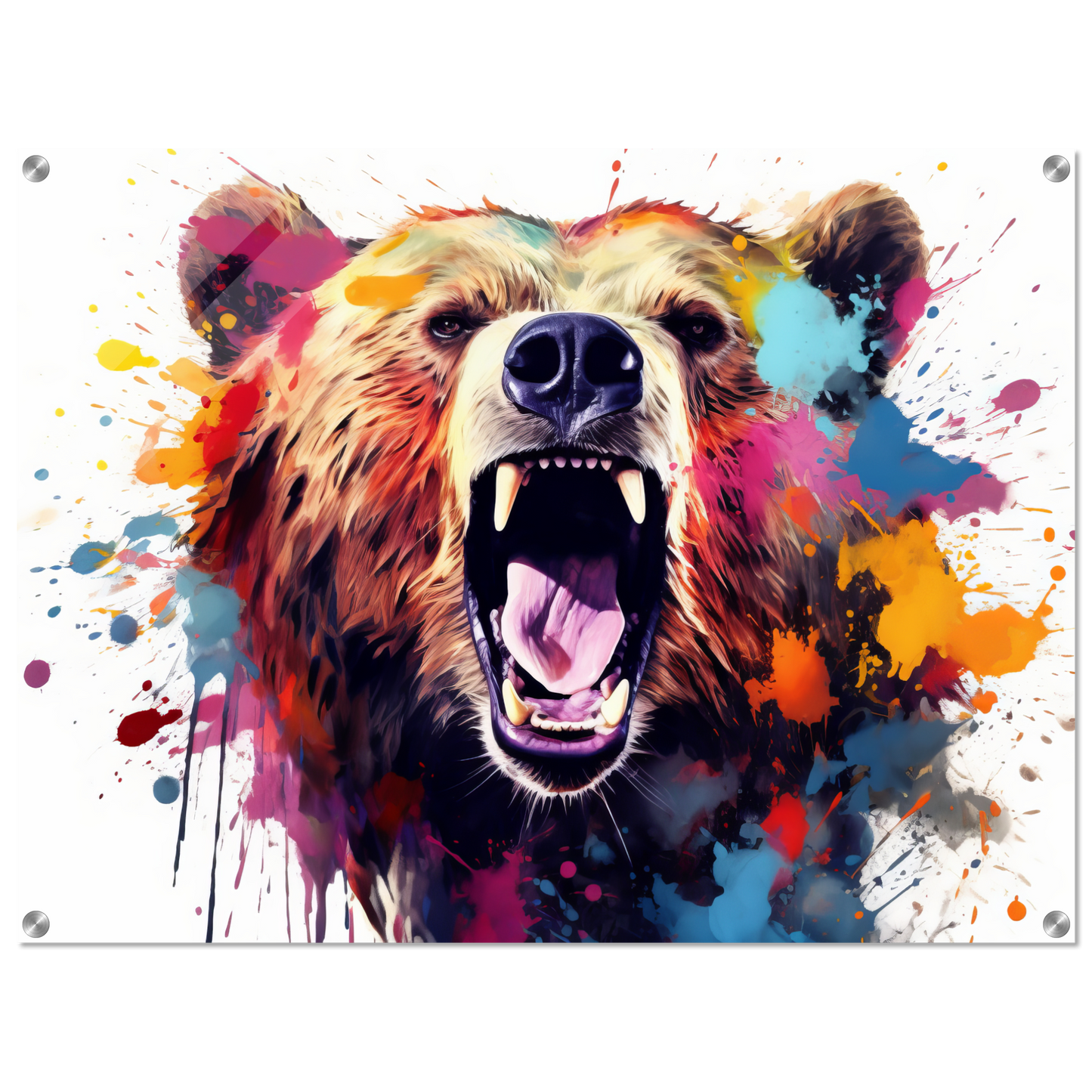 Bear bears pop art (WILD64)