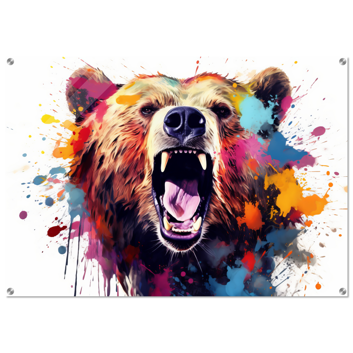 Bear bears pop art (WILD64)