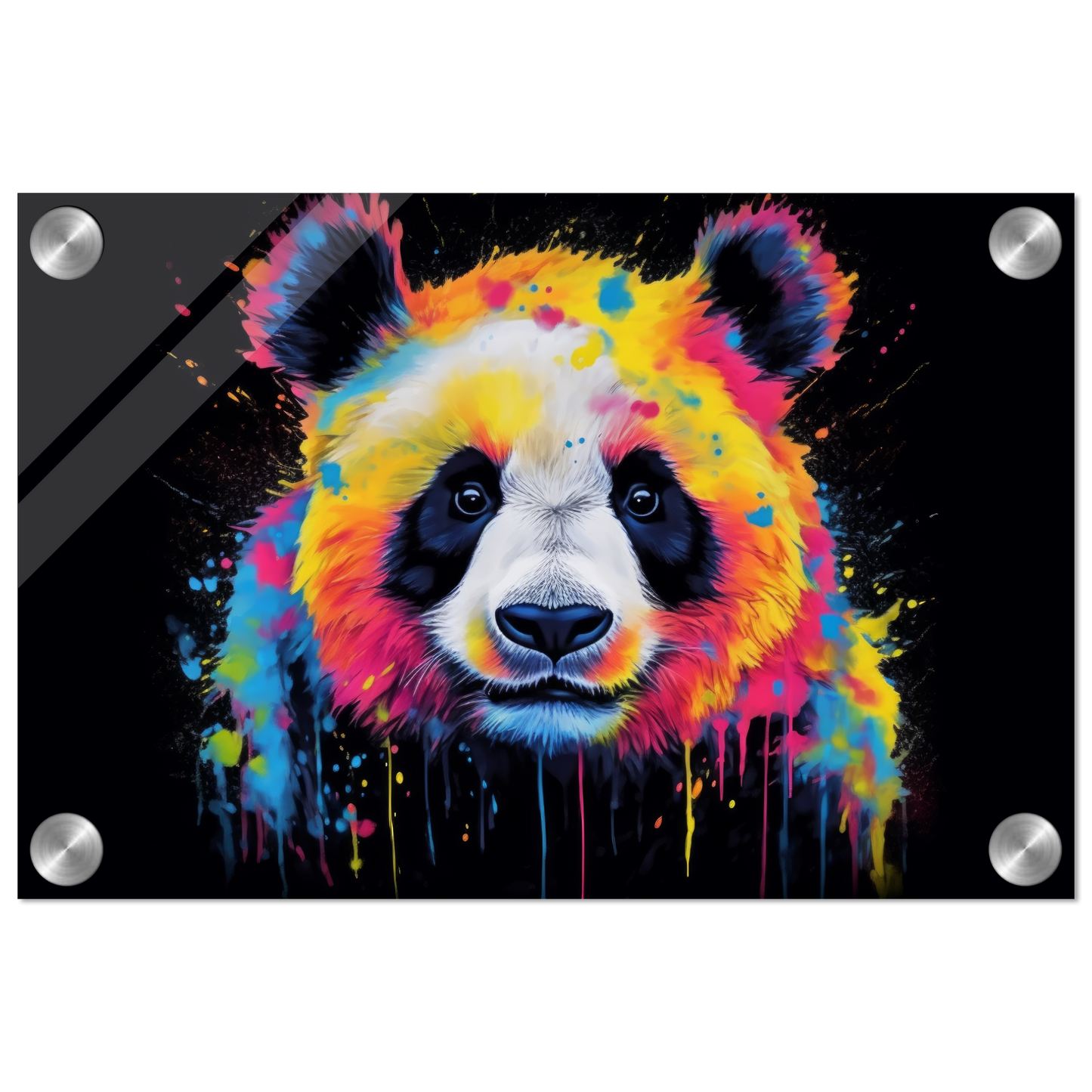 Panda Panda Bear Pop Art (WILD82)