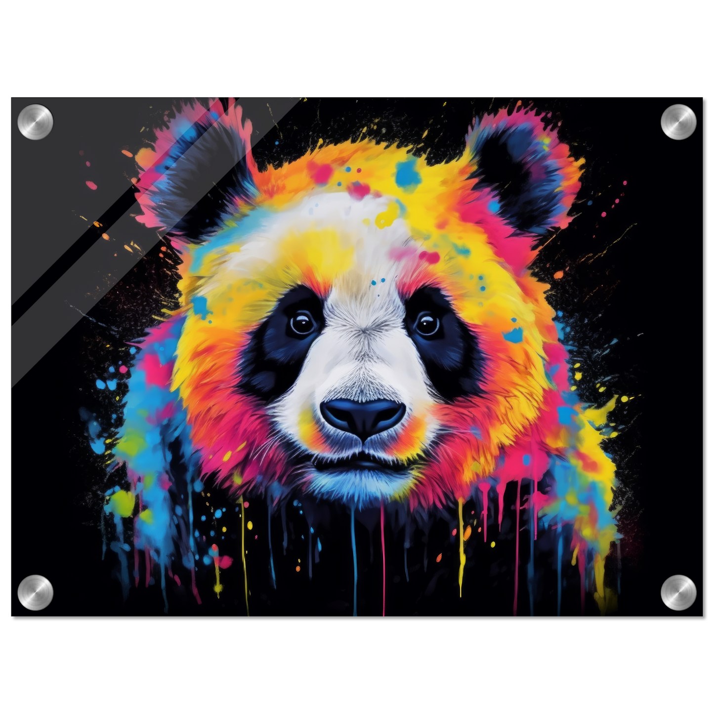 Panda Panda Bear Pop Art (WILD82)