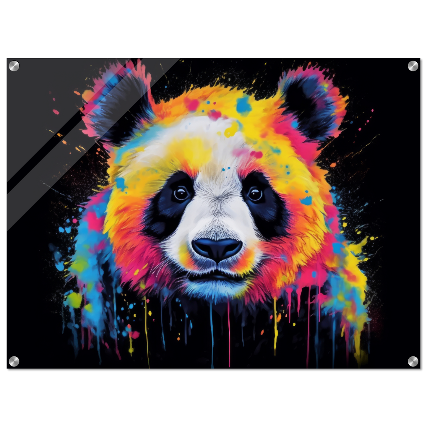 Panda Panda Bear Pop Art (WILD82)